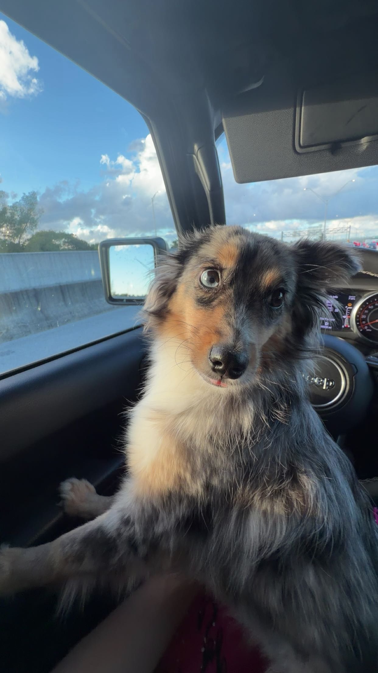 sadie.mckenna snapchat image archive image