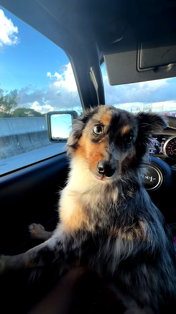 sadie.mckenna image ~ Altpins