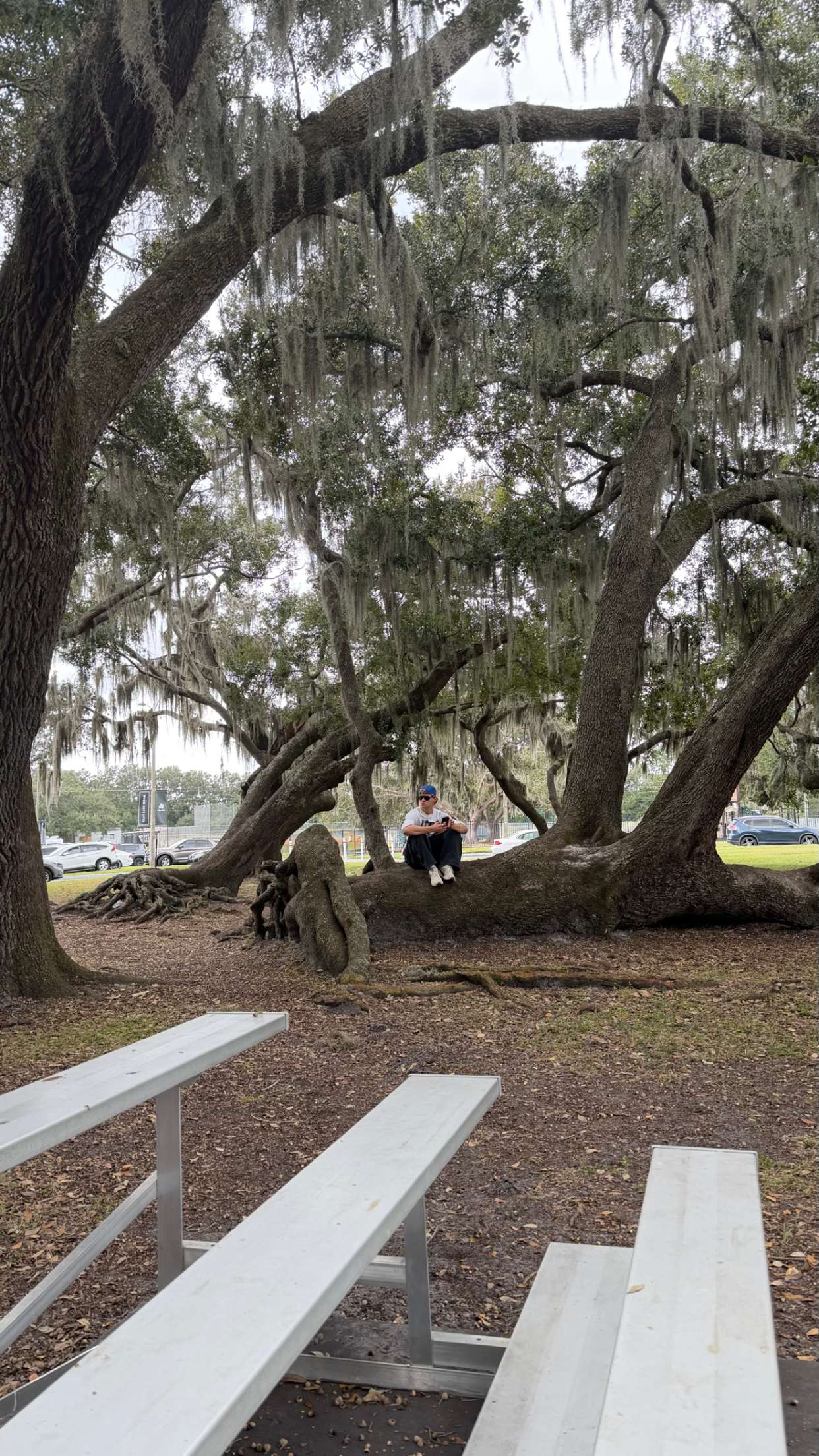 sadie.mckenna snapchat image archive image