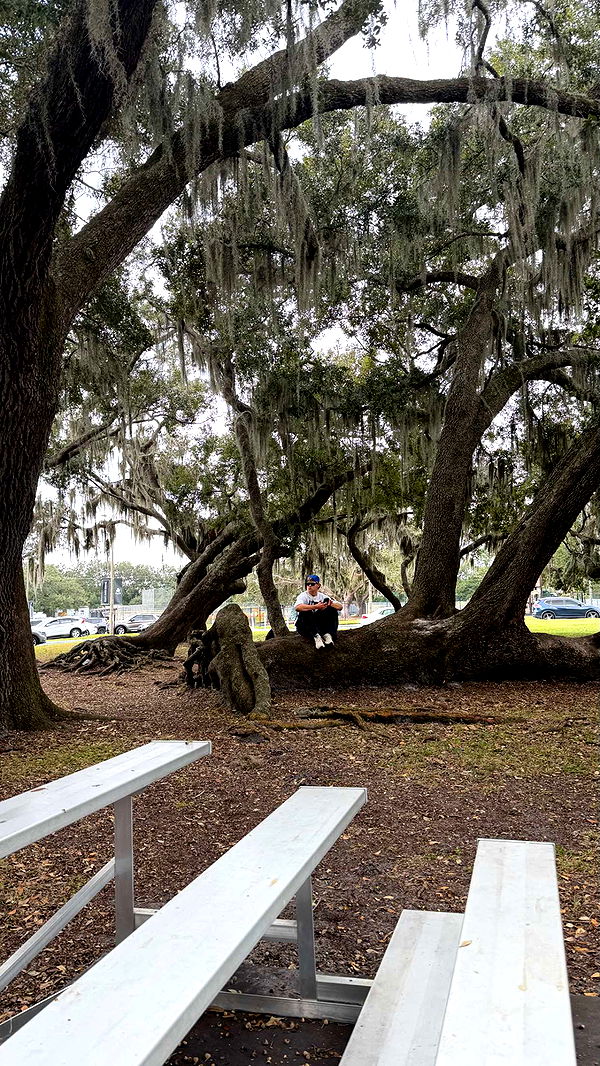 sadie.mckenna image ~ Altpins