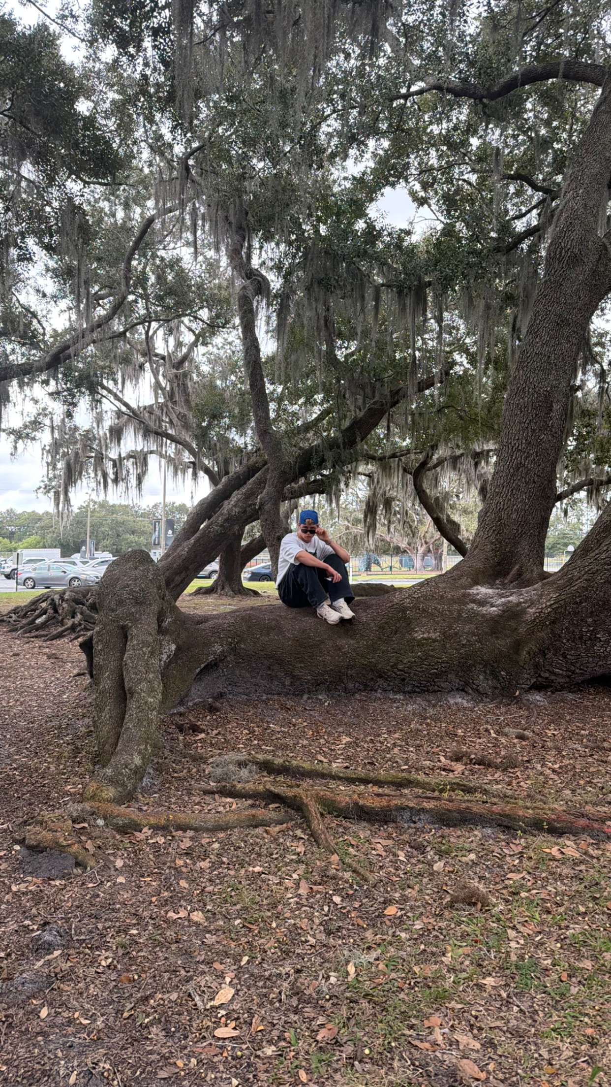 sadie.mckenna snapchat image archive image