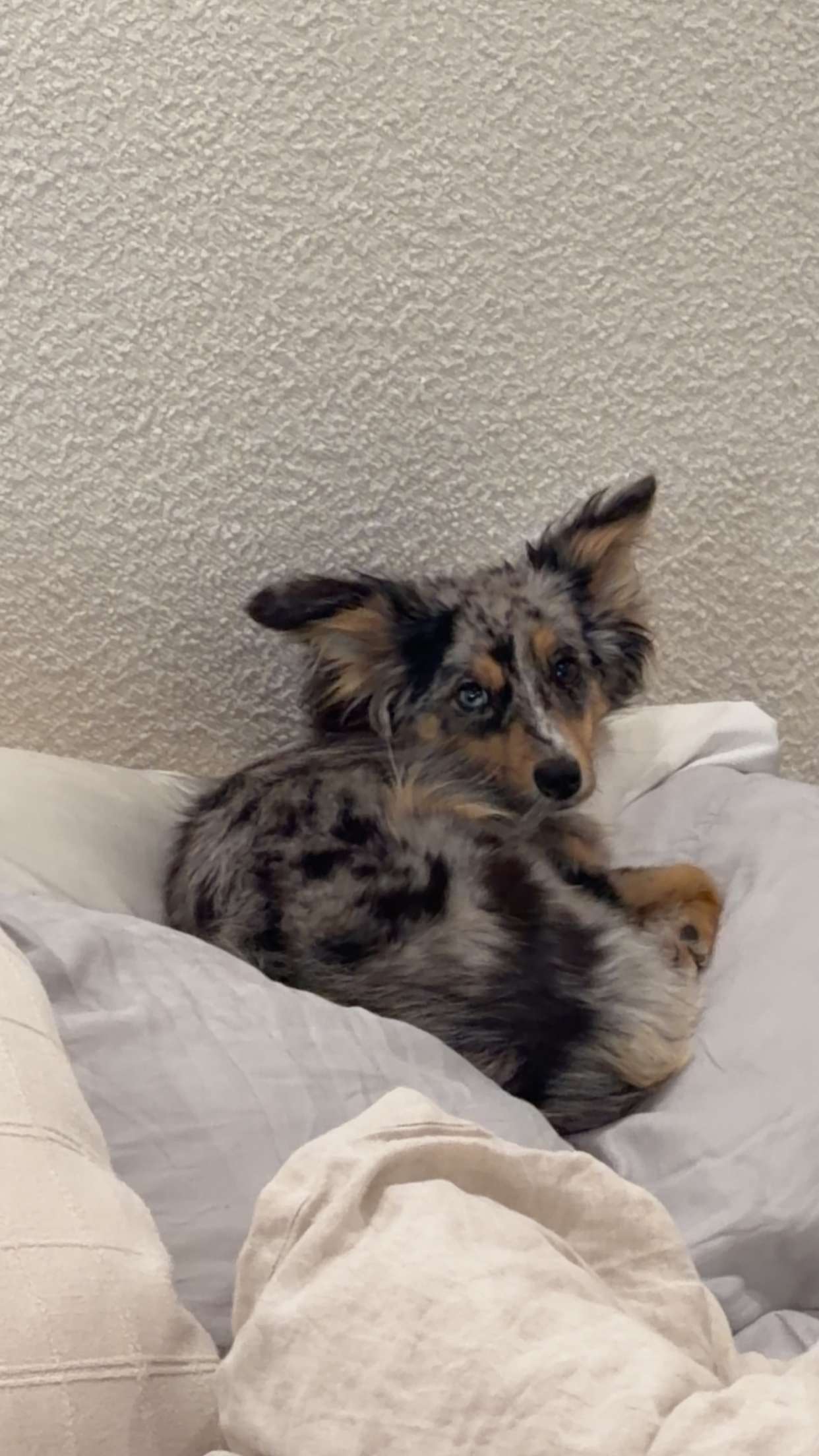 sadie.mckenna snapchat image archive image