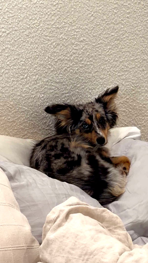 sadie.mckenna image ~ Altpins