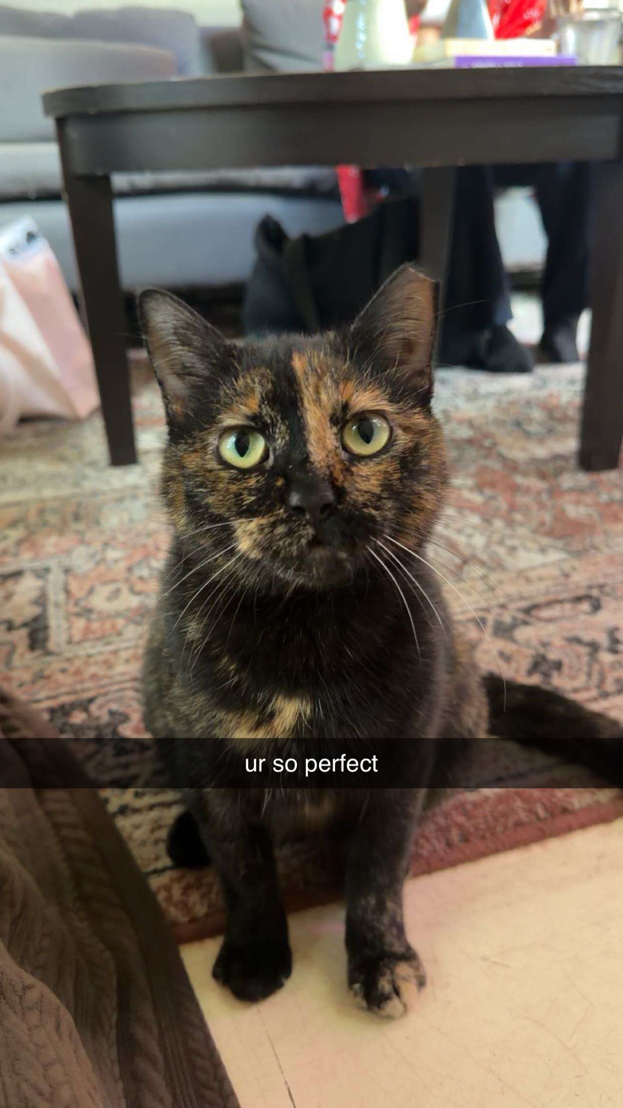 sadie.mckenna snapchat image archive image