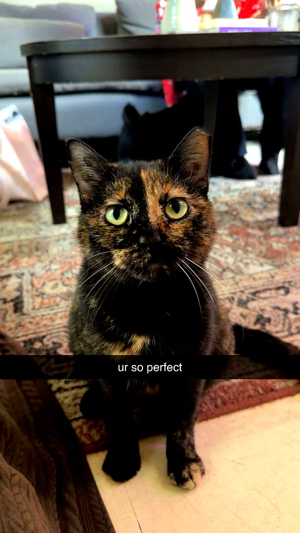 sadie.mckenna image ~ Altpins