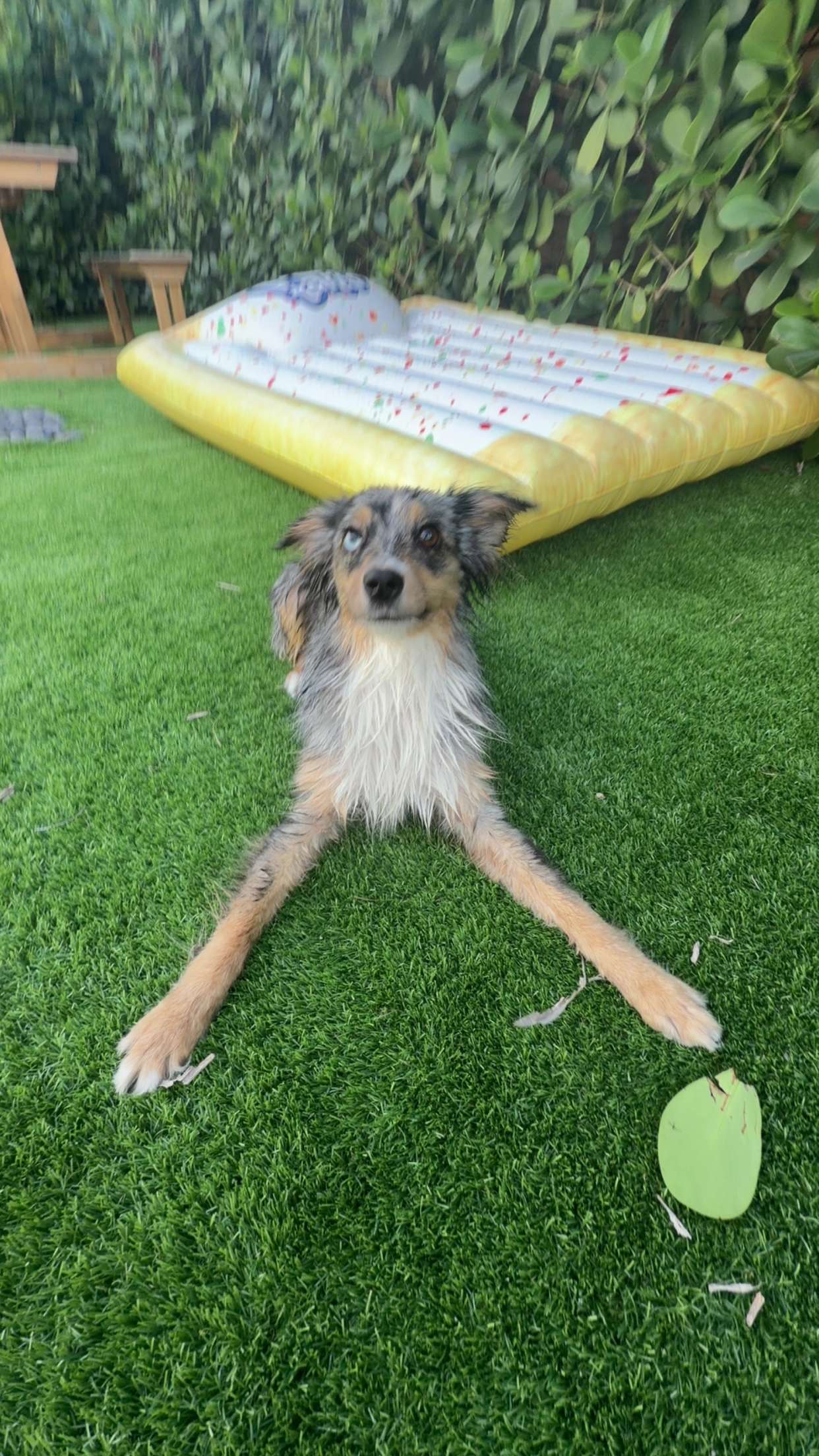 sadie.mckenna snapchat image archive image