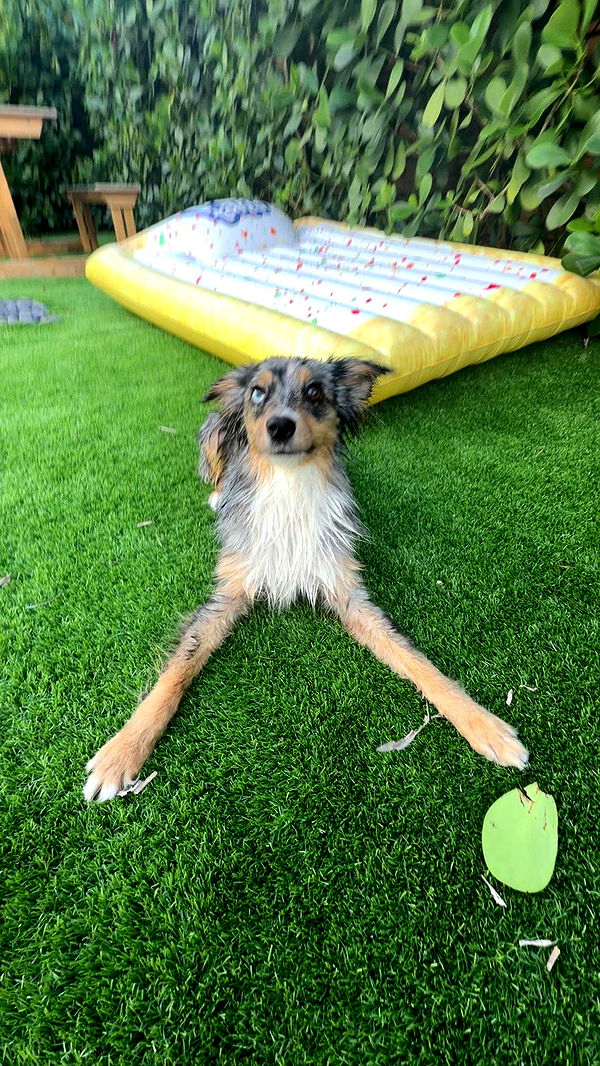 sadie.mckenna image ~ Altpins