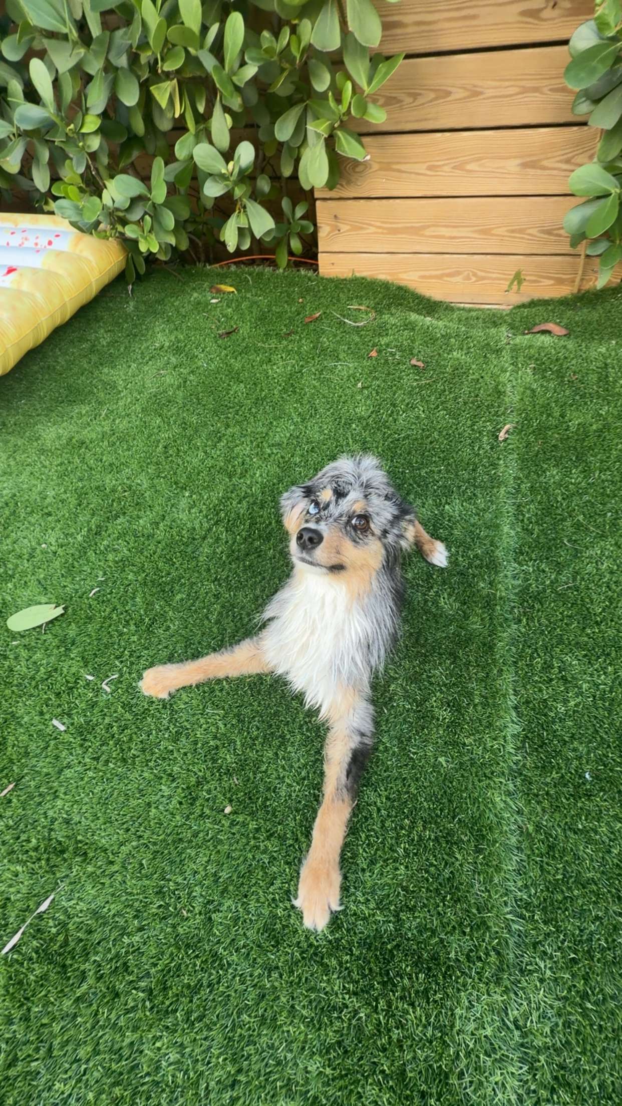 sadie.mckenna snapchat image archive image