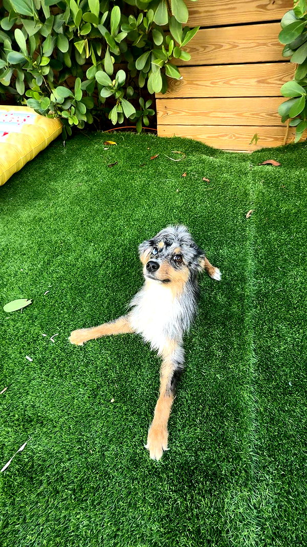 sadie.mckenna image ~ Altpins