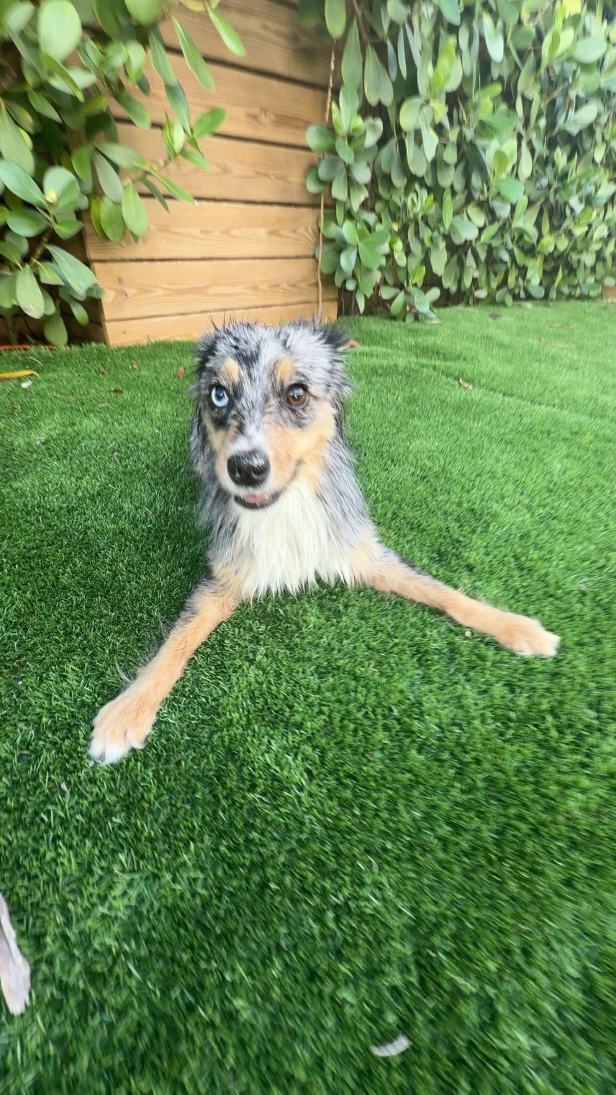 sadie.mckenna snapchat image archive image