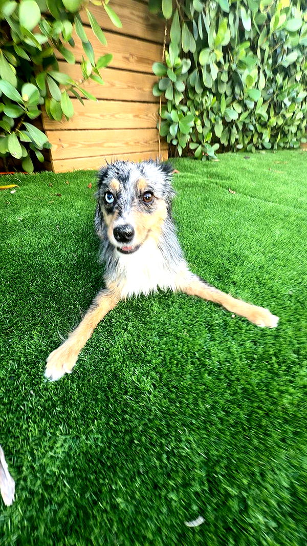 sadie.mckenna image ~ Altpins