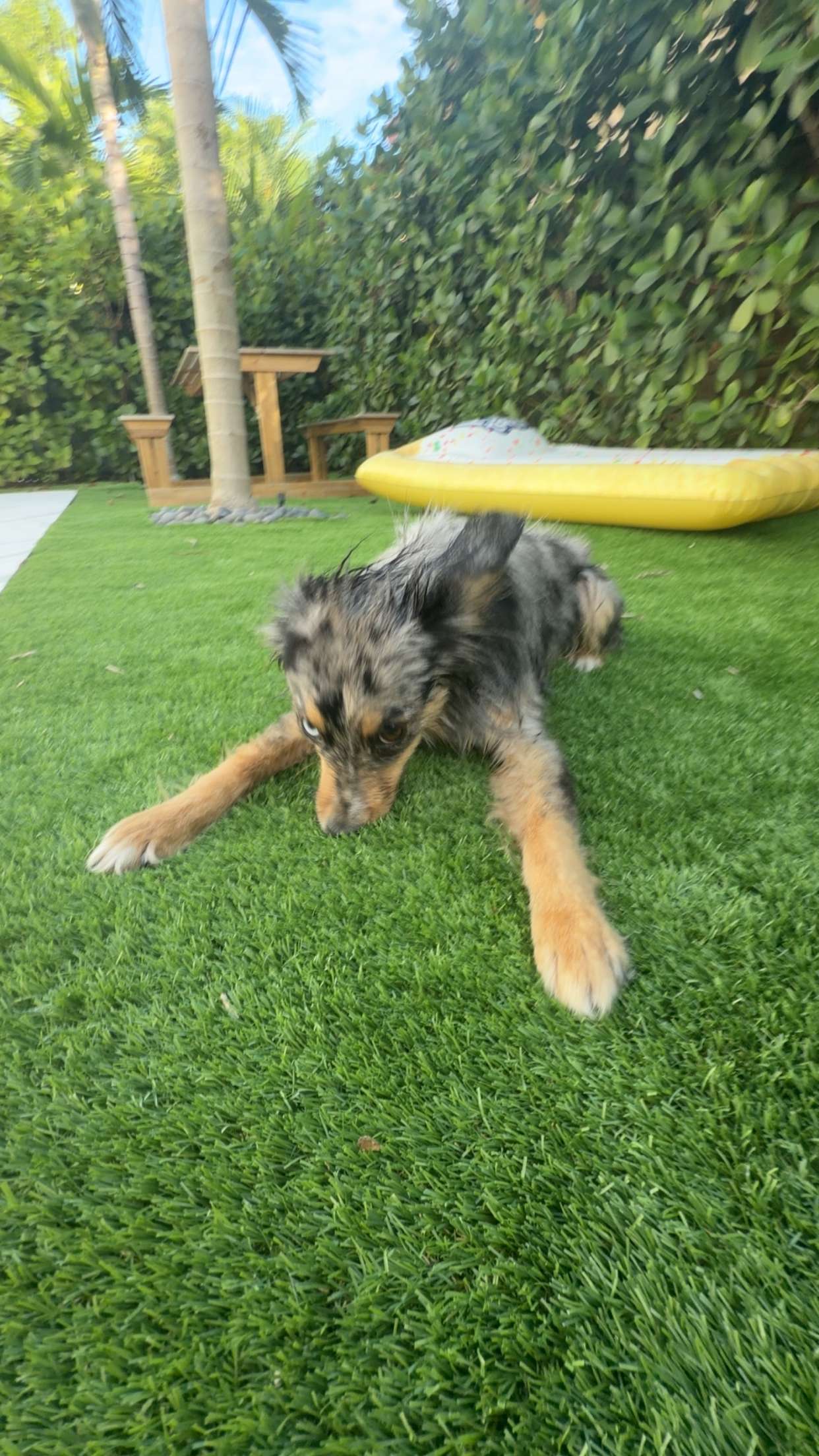 sadie.mckenna snapchat image archive image