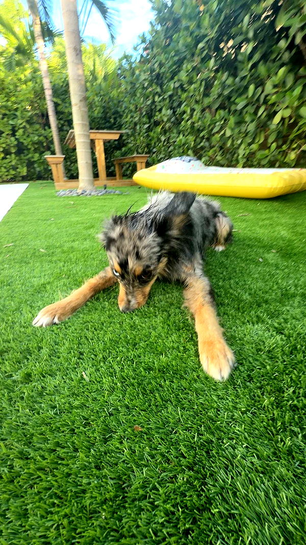 sadie.mckenna image ~ Altpins