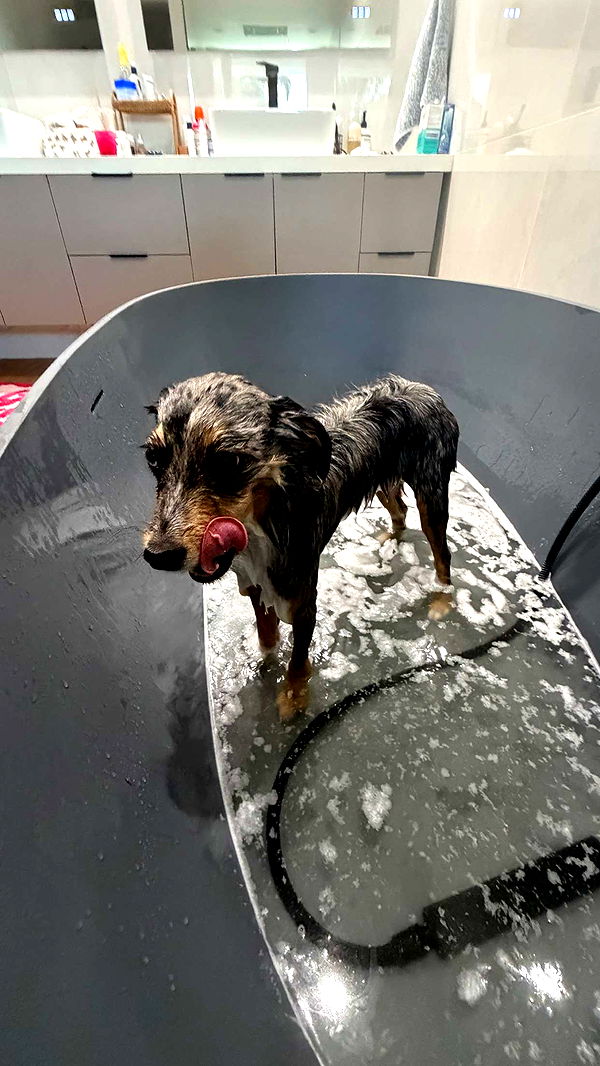 sadie.mckenna image ~ Altpins