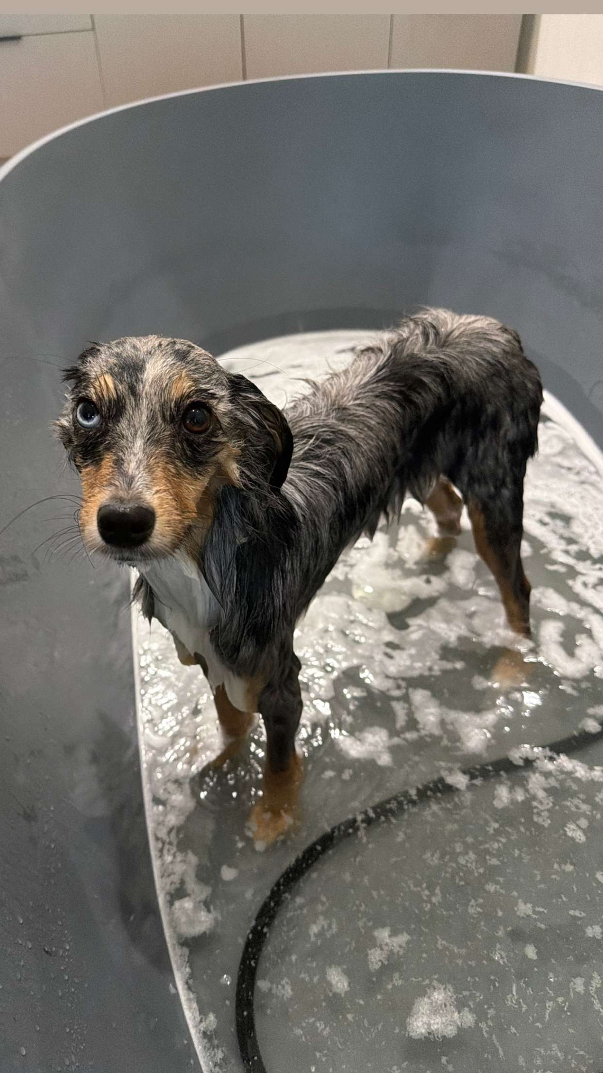 sadie.mckenna snapchat image archive image