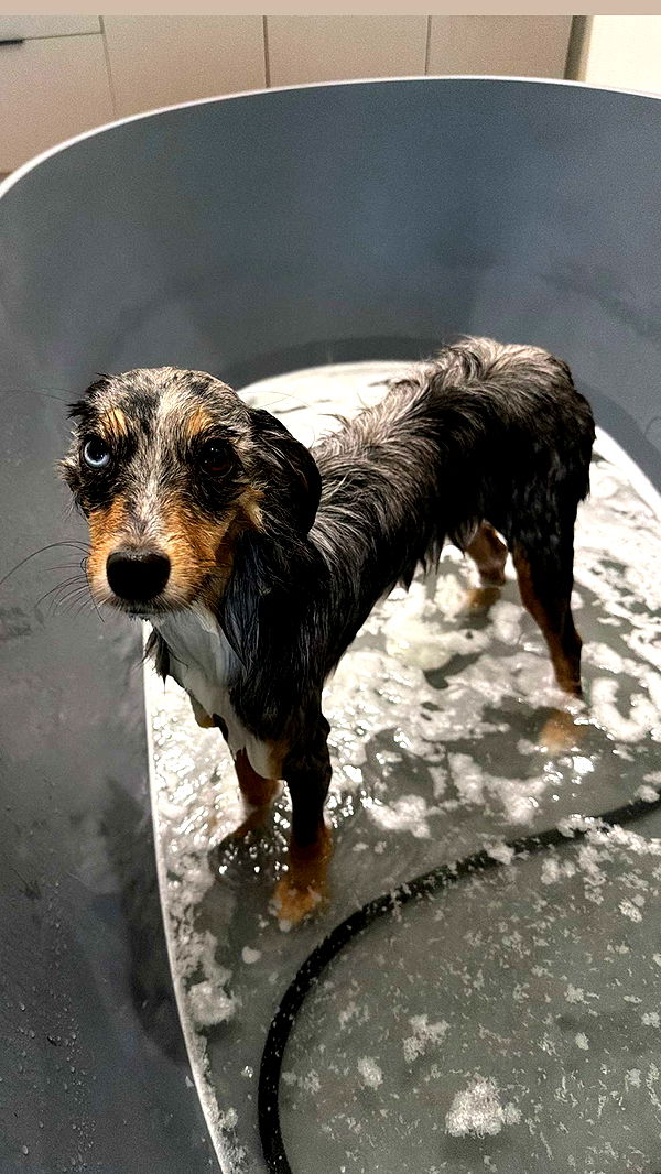 sadie.mckenna image ~ Altpins