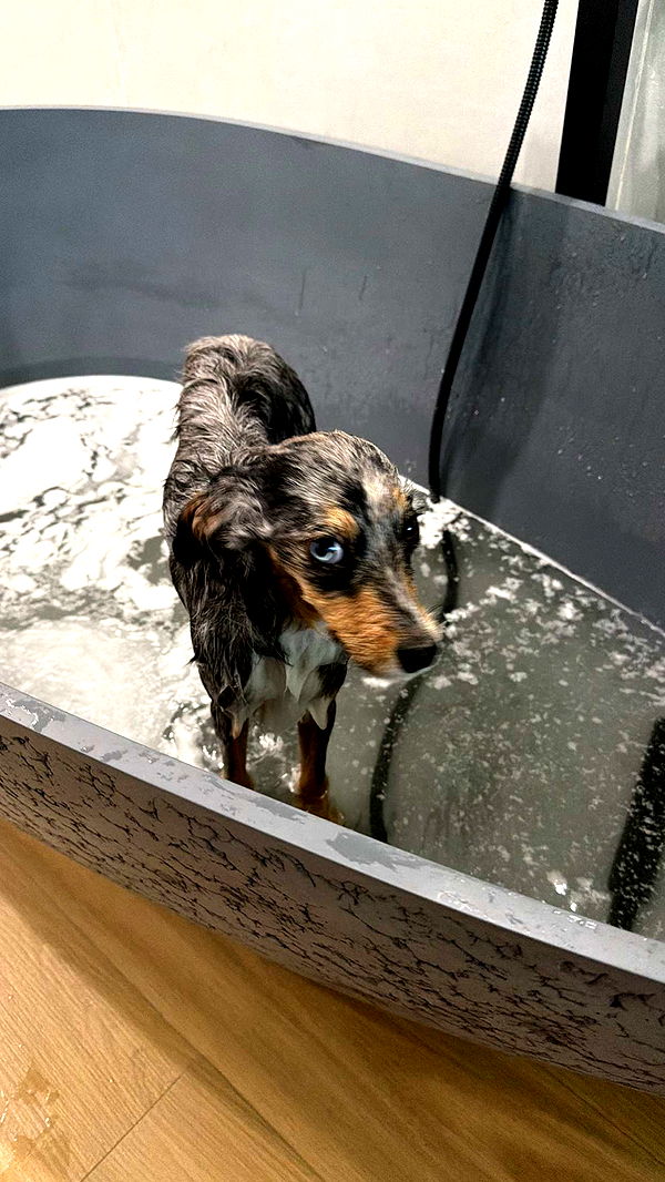 sadie.mckenna image ~ Altpins