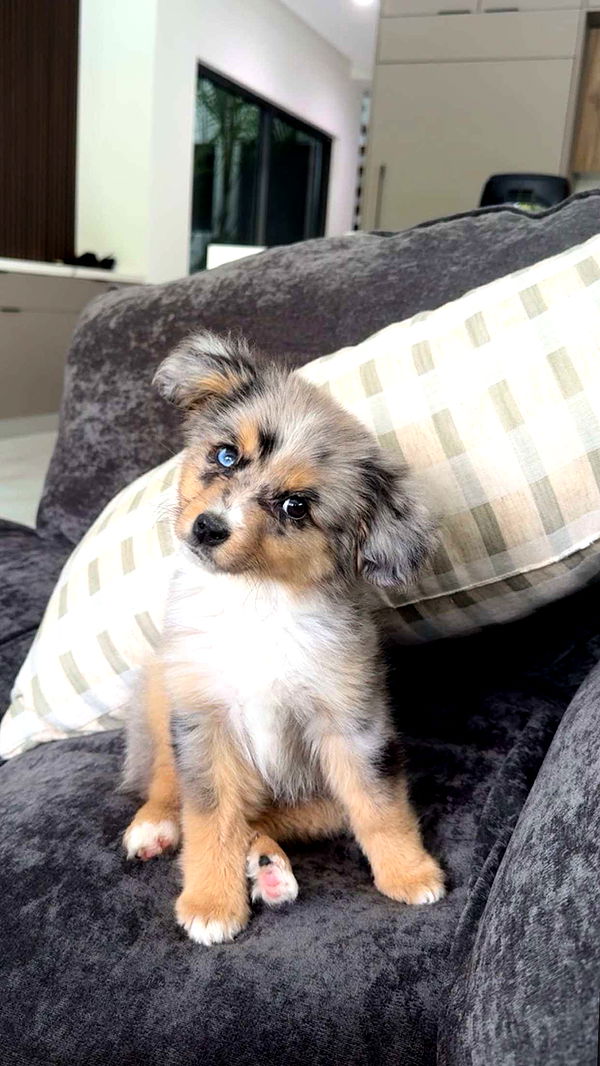 sadie.mckenna image ~ Altpins