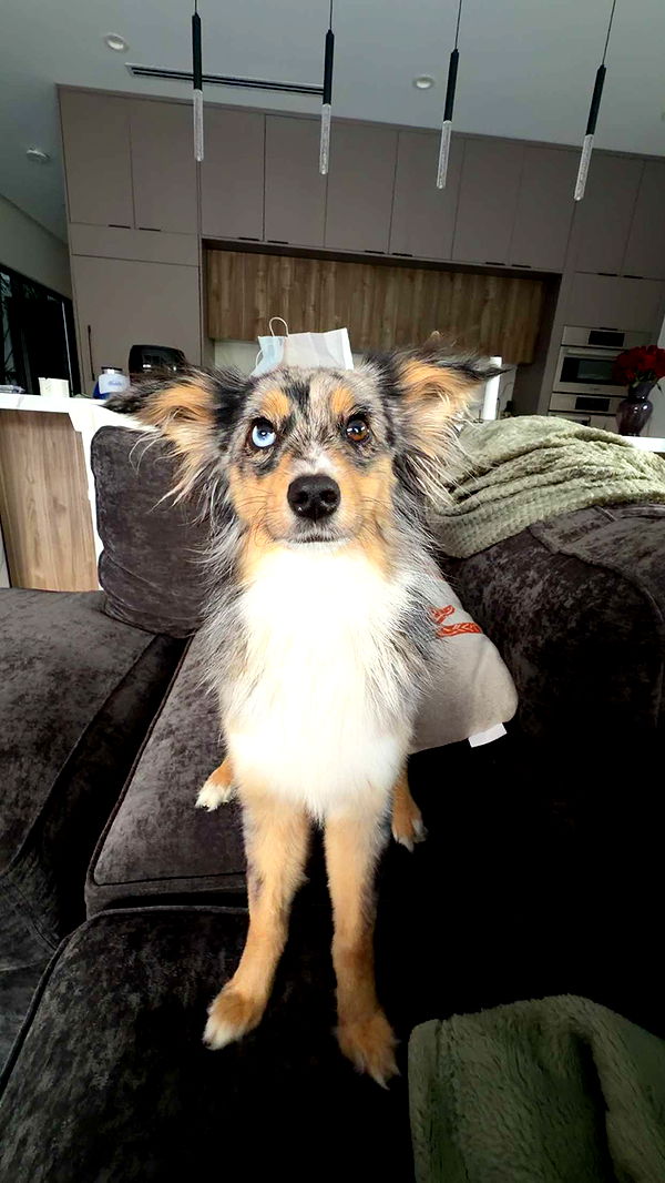 sadie.mckenna image ~ Altpins