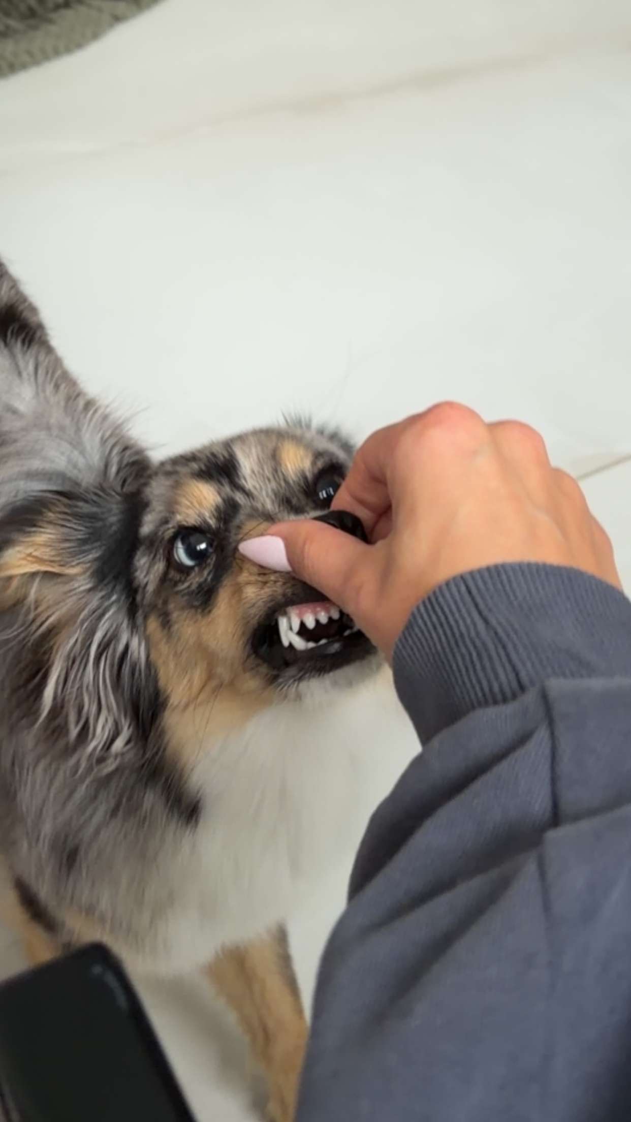 sadie.mckenna snapchat image archive image