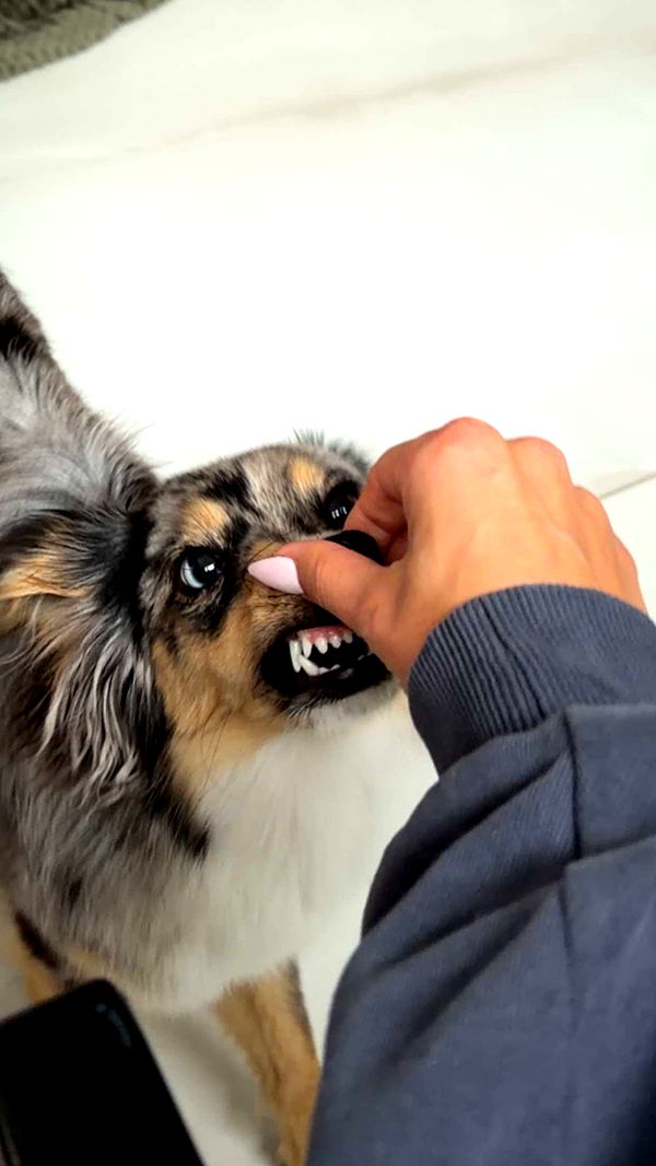 sadie.mckenna image ~ Altpins