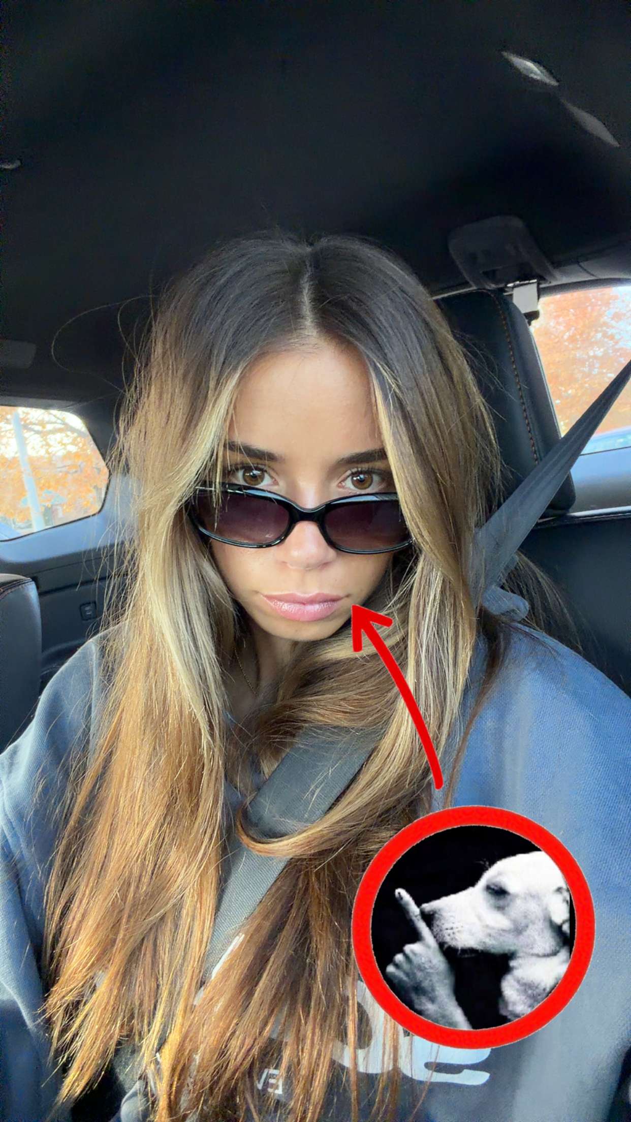 sadie.mckenna snapchat image archive image