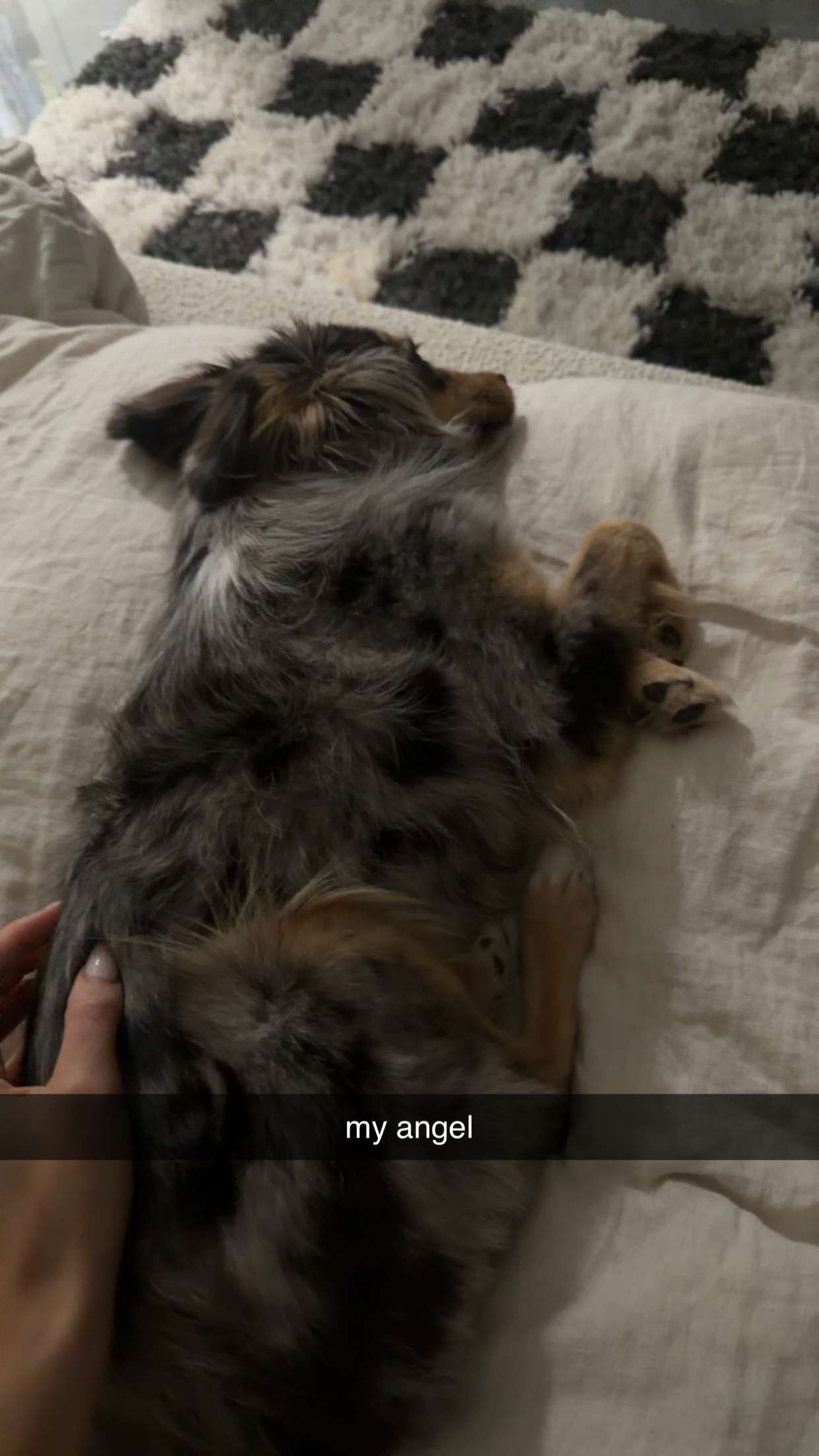 sadie.mckenna snapchat image archive image