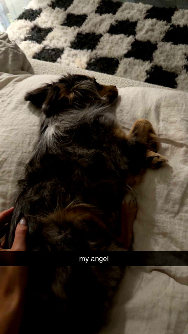 sadie.mckenna image ~ Altpins