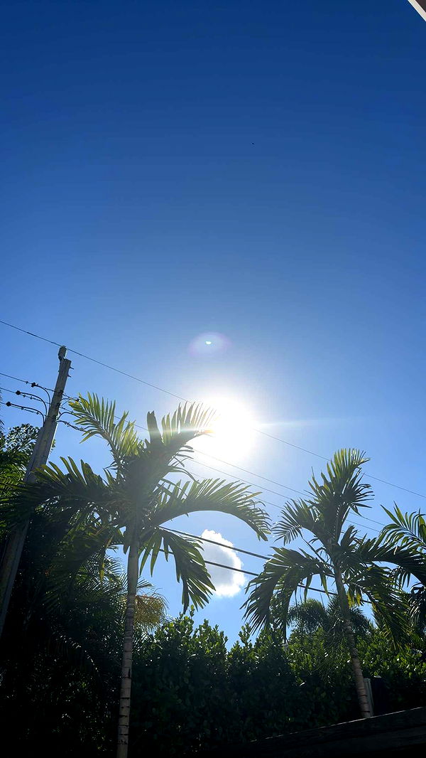 sadie.mckenna image ~ Altpins