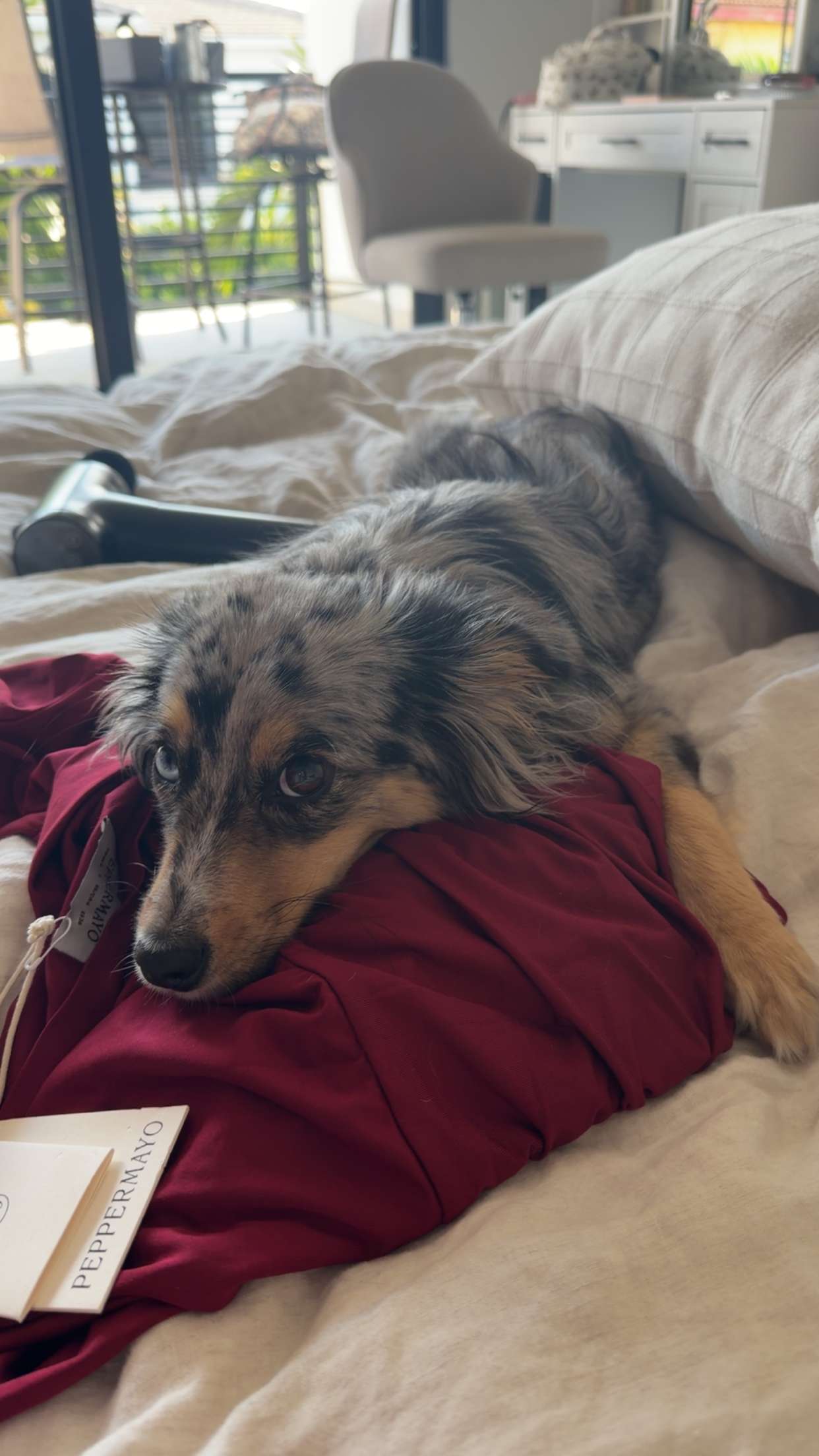 sadie.mckenna snapchat image archive image