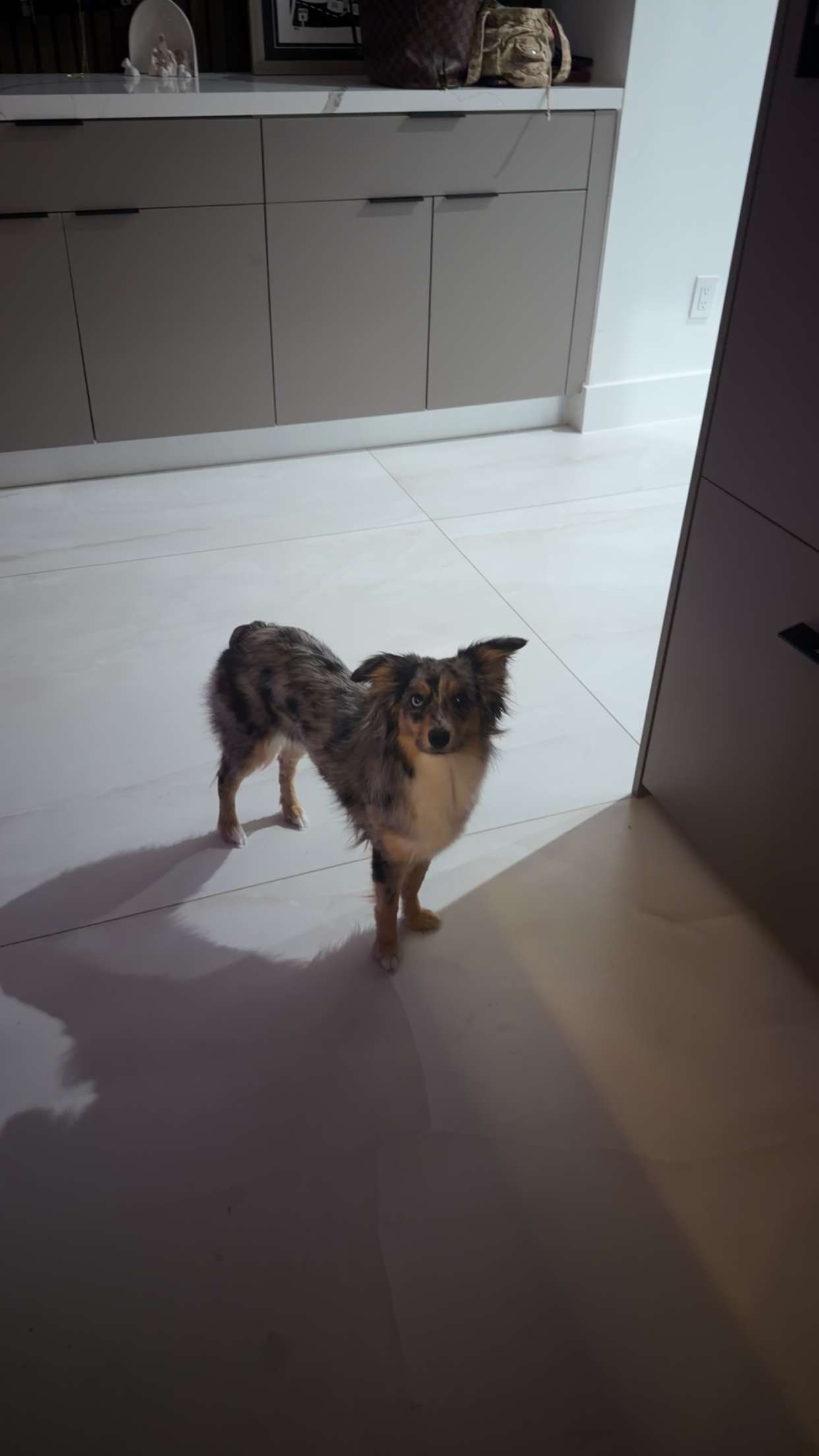 sadie.mckenna snapchat image archive image