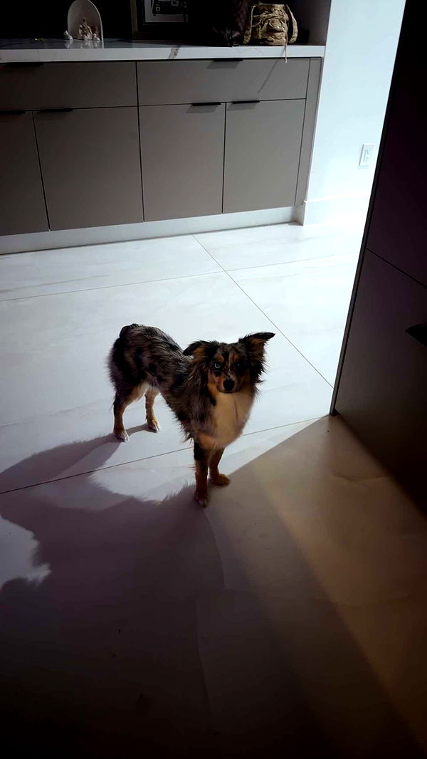 sadie.mckenna image ~ Altpins