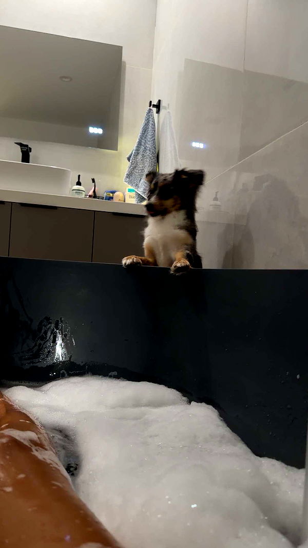 sadie.mckenna image ~ Altpins