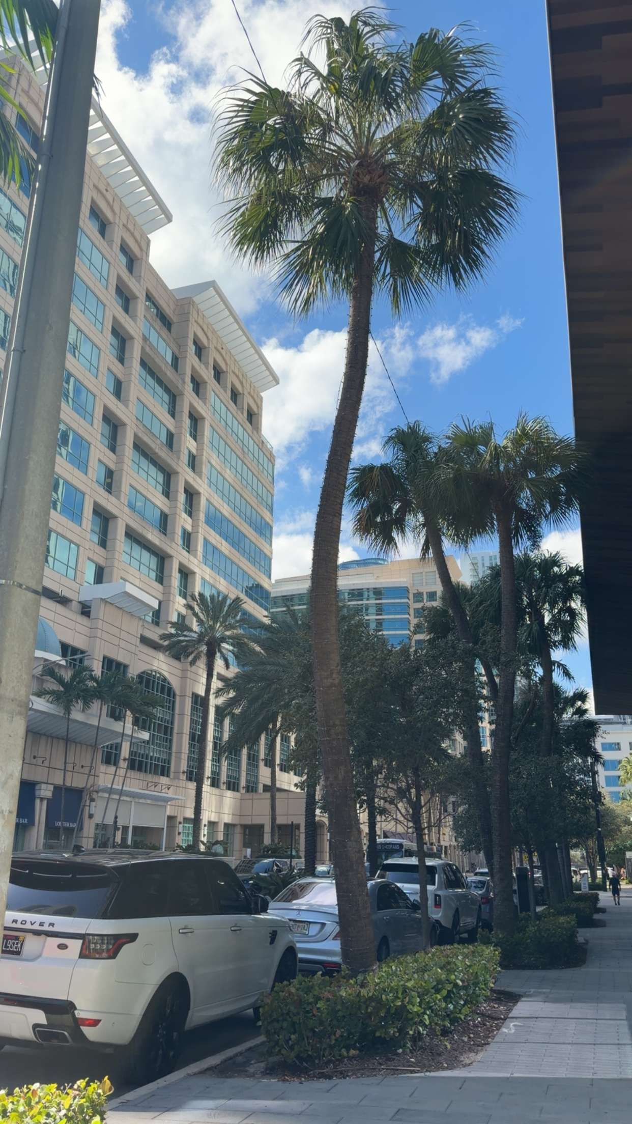 sadie.mckenna snapchat image archive image