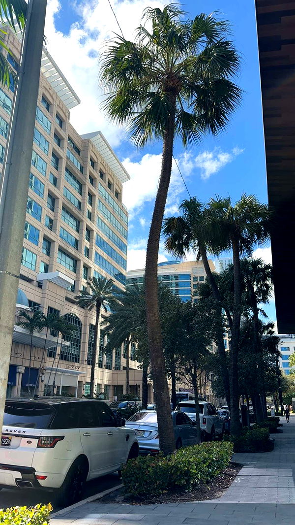 sadie.mckenna image ~ Altpins