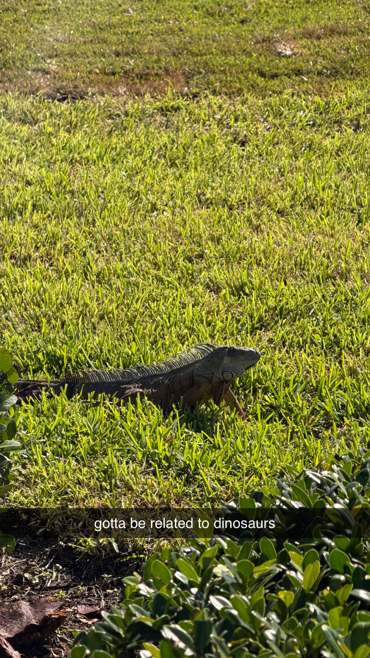 sadie.mckenna snapchat image archive image