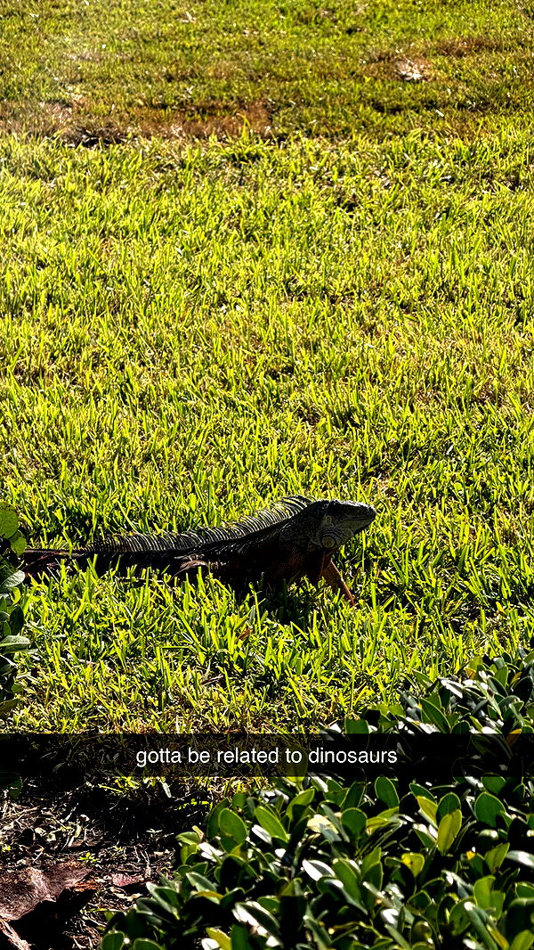 sadie.mckenna image ~ Altpins