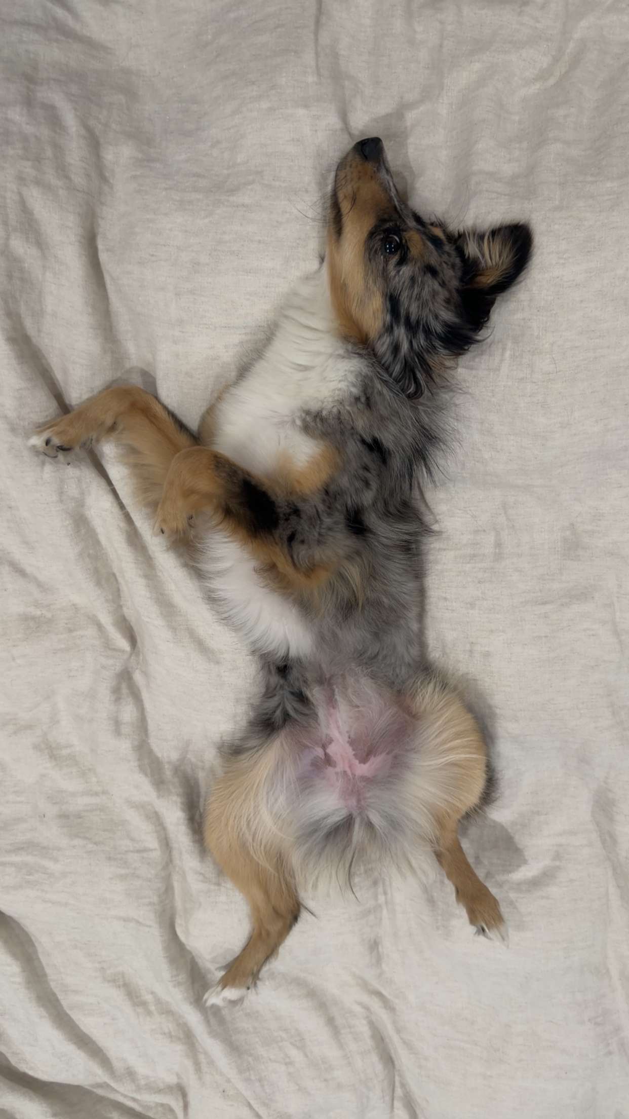 sadie.mckenna snapchat image archive image