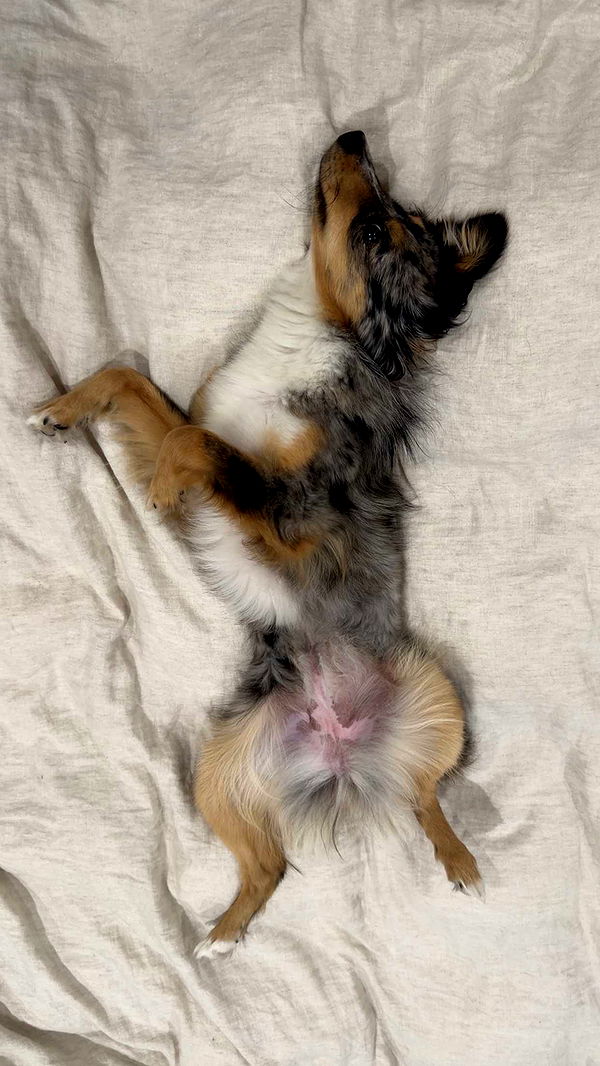 sadie.mckenna image ~ Altpins