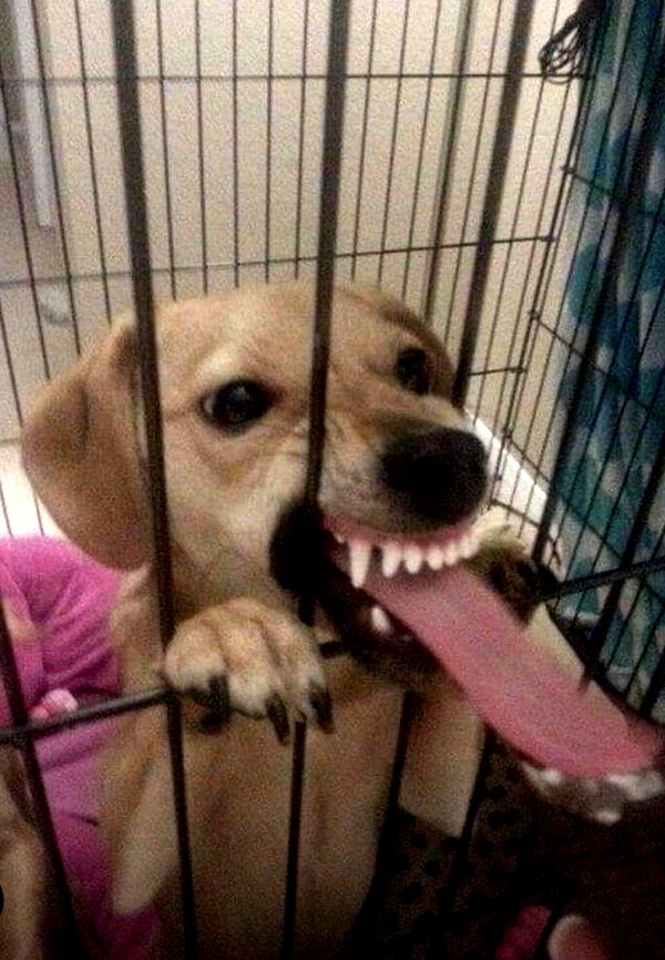 sadie.mckenna image ~ Altpins