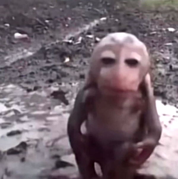 sadie.mckenna image ~ Altpins