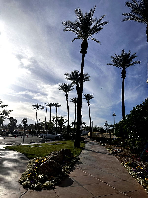 samantrasunny image ~ Altpins