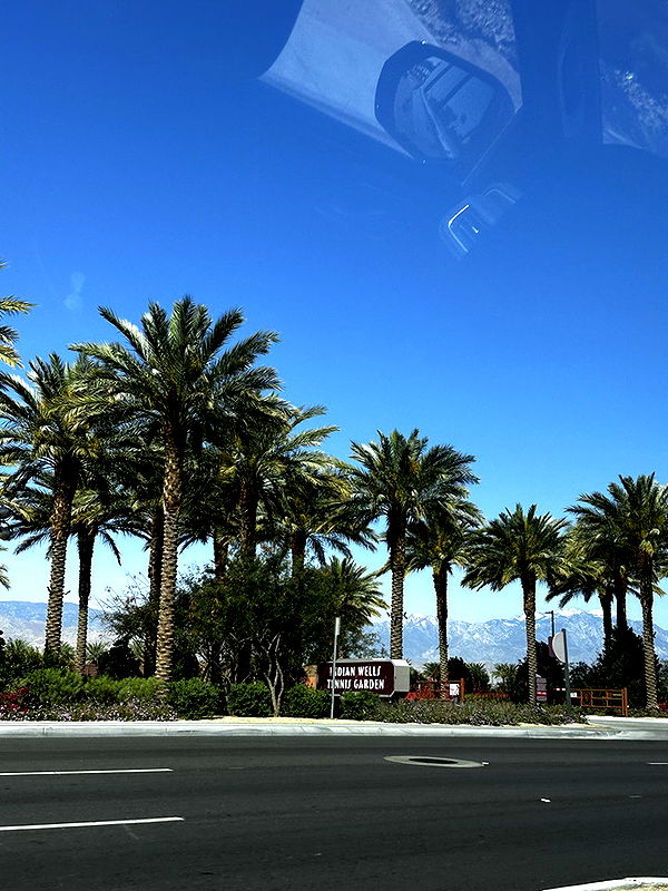 samantrasunny image ~ Altpins