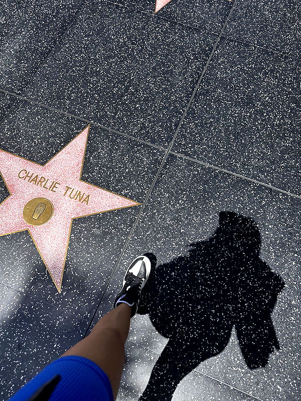 samantrasunny image ~ Altpins