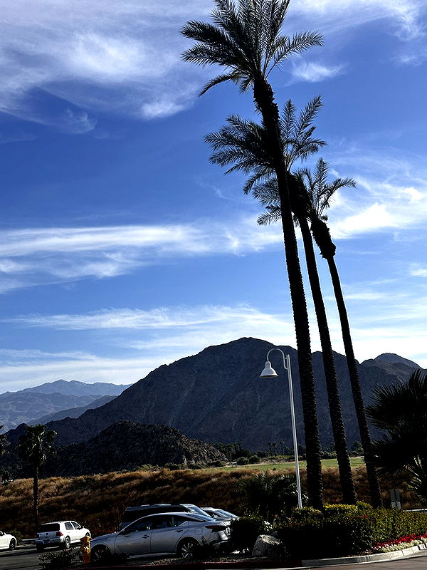 samantrasunny image ~ Altpins