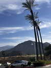 samantrasunny Altpins Profile Picture