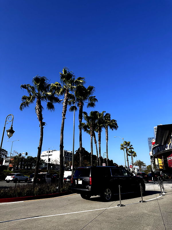 samantrasunny image ~ Altpins