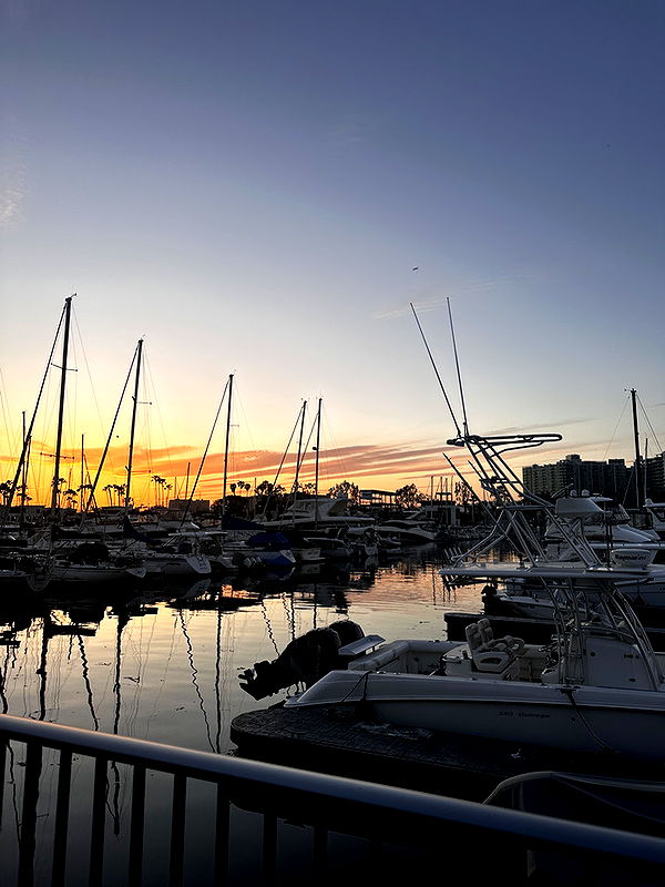 samantrasunny image ~ Altpins