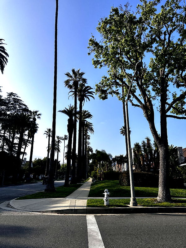 samantrasunny image ~ Altpins