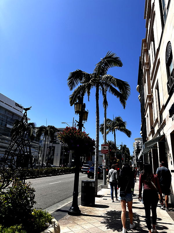 samantrasunny image ~ Altpins